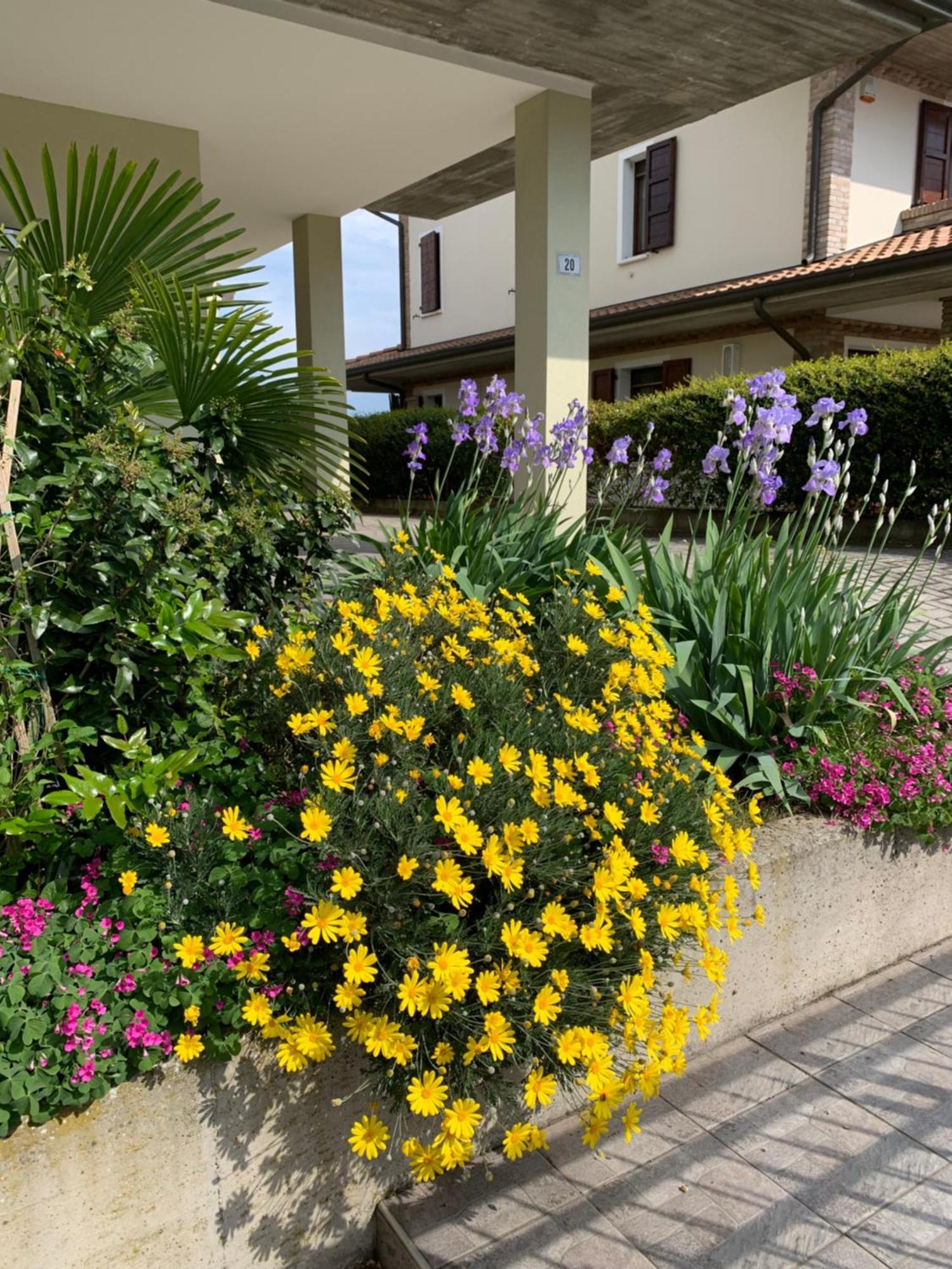 B&B La Salina Cannuzzo Extérieur photo